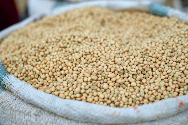 vegan protein sources list